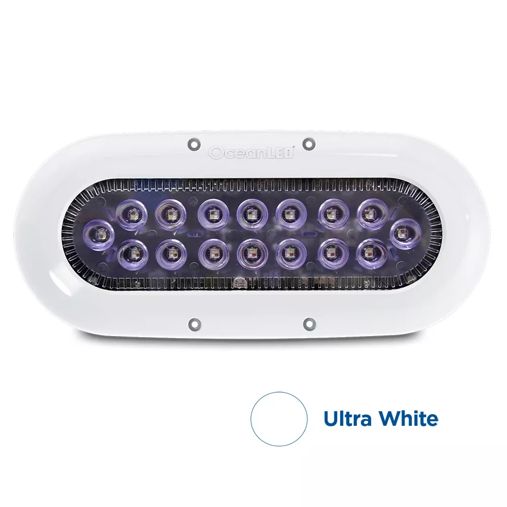 oceanled-x-series-x16-white-leds OceanLED X-Series X16 - White LEDs